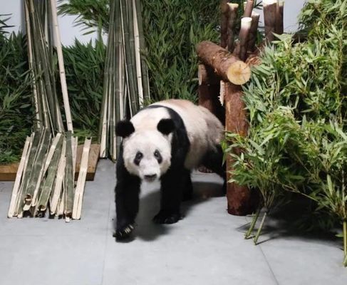 海北藏族自治州水族館：北海北藏族自治州旅游攻略 全國觀賞魚市場 第1張