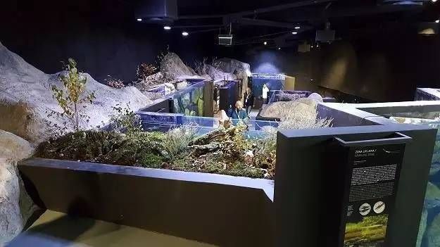 水族館有什么用：水族館在社區(qū)文化建設中的作用 水族館百科（水族館加盟） 第3張