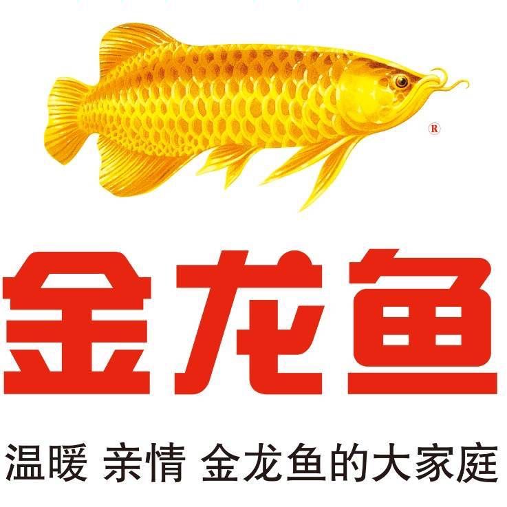 金龍魚質(zhì)量檢驗崗位職責：金龍魚質(zhì)檢員職業(yè)發(fā)展路徑金龍魚質(zhì)檢員職業(yè)發(fā)展路徑