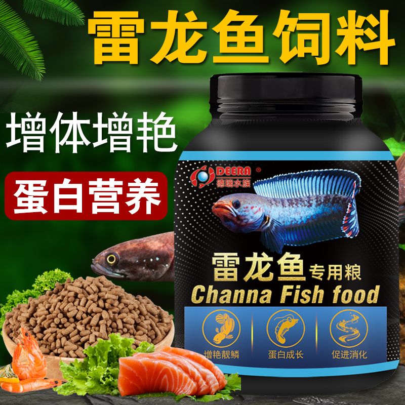 雷龍魚(yú)吃什么飼料：雷龍魚(yú)飼料自制方法 龍魚(yú)百科 第4張