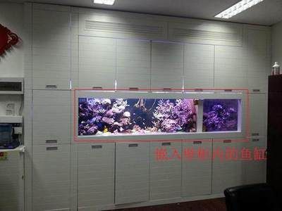 咸寧水族館：咸寧觀賞魚水族館怎么查詢 全國(guó)觀賞魚市場(chǎng) 第4張