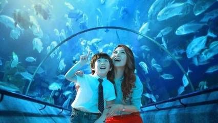 咸寧水族館：咸寧觀賞魚水族館怎么查詢 全國(guó)觀賞魚市場(chǎng) 第2張