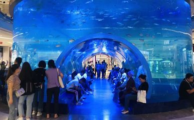 水族館適合開到哪里：水族館的開設地點應考慮多種因素包括目標受眾、地理位置 水族館百科（水族館加盟） 第1張