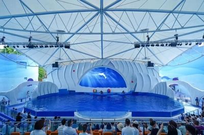 水族館適合開到哪里：水族館的開設(shè)地點(diǎn)應(yīng)考慮多種因素包括目標(biāo)受眾、地理位置 水族館百科（水族館加盟） 第5張