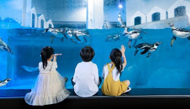 水族館適合開到哪里：水族館的開設(shè)地點(diǎn)應(yīng)考慮多種因素包括目標(biāo)受眾、地理位置 水族館百科（水族館加盟） 第4張