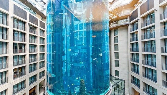 世界水族館排名榜：世界水族館排名榜顯示了全球各地各地最著名的水族館