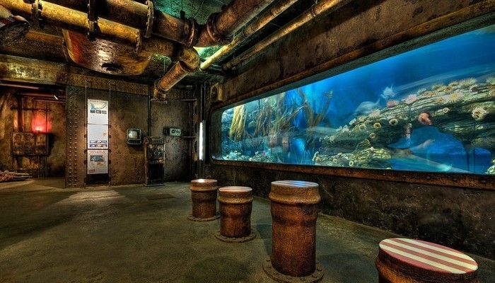 世界水族館排名榜：世界水族館排名榜顯示了全球各地各地最著名的水族館