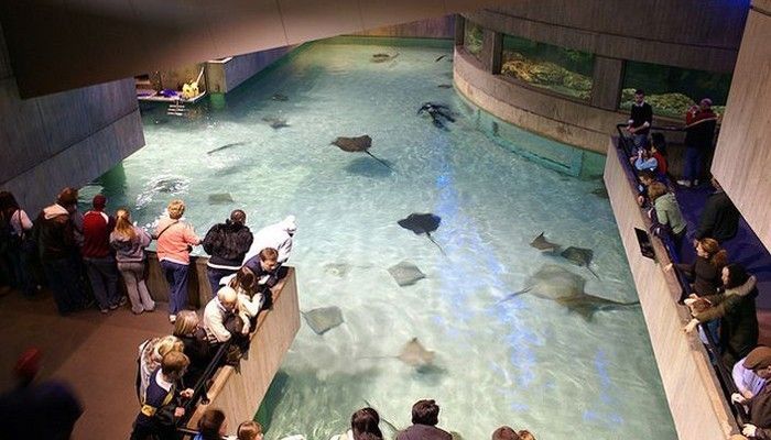 世界水族館排名榜：世界水族館排名榜顯示了全球各地各地最著名的水族館 水族館百科（水族館加盟） 第4張