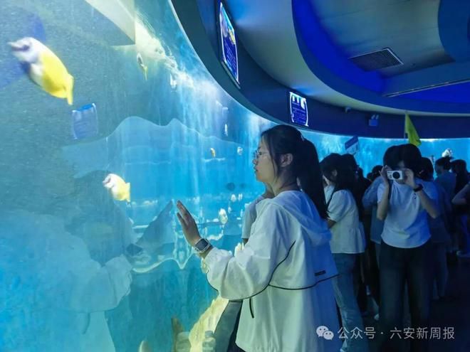 六安水族館：六安水族館六安水族館六安水族館