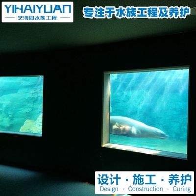 水族館怎么經(jīng)營(yíng)：水族館的經(jīng)營(yíng)策略 水族館百科（水族館加盟） 第2張