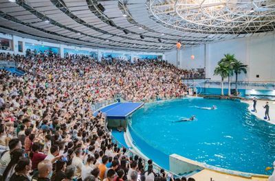 開水族館需要辦什么證件嗎：開設(shè)水族館需要辦理一系列的證件以確保合法經(jīng)營