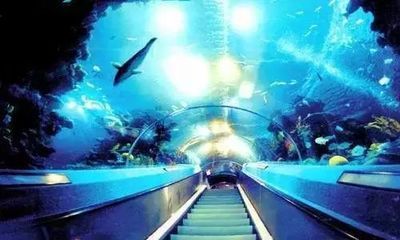 開水族館需要辦什么證件嗎：開設(shè)水族館需要辦理一系列的證件以確保合法經(jīng)營(yíng) 水族館百科（水族館加盟） 第5張