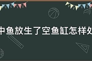 形容魚缸的四字詞語：如何挑選適合的魚缸 魚缸百科 第4張