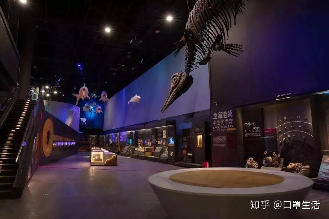 水族館好玩嗎知乎：三亞水族館游玩攻略 水族館百科（水族館加盟） 第1張