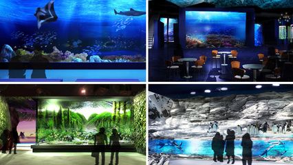 水族館運(yùn)營(yíng)管理：水族館的運(yùn)營(yíng)管理 水族館百科（水族館加盟） 第4張