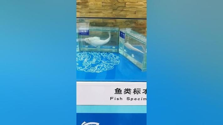 長(zhǎng)春水族館：長(zhǎng)春旅游攻略之長(zhǎng)春水族館