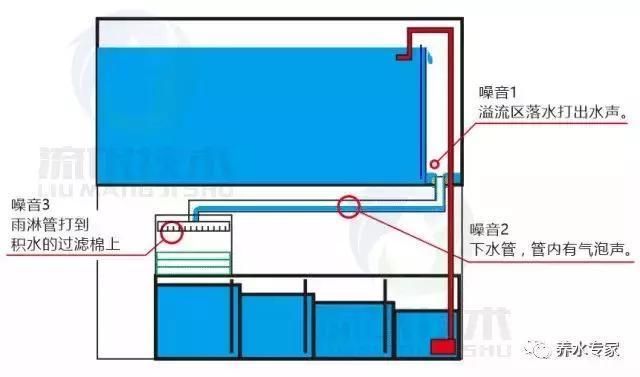 底濾魚缸使用方法視頻：底濾魚缸的使用方法 魚缸百科 第5張