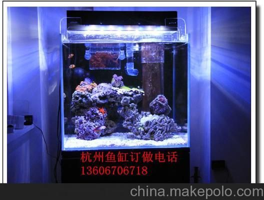 杭州做魚缸的商家：杭州魚缸定制哪家口碑好 魚缸百科 第5張