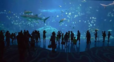 漢中水族館