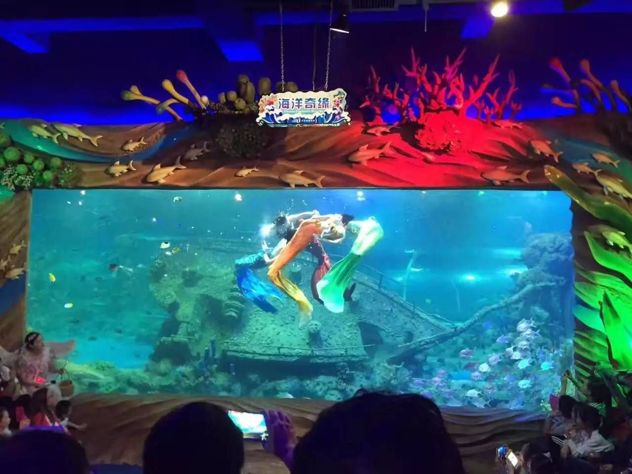 運(yùn)城水族館：運(yùn)城市鹽湖區(qū)西城猛戰(zhàn)水族館親子活動(dòng)體驗(yàn)運(yùn)城海洋館 全國(guó)觀賞魚市場(chǎng) 第2張