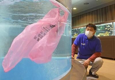 開個水族館怎么樣賺錢呢：開設(shè)水族館如何賺錢 水族館百科（水族館加盟） 第4張