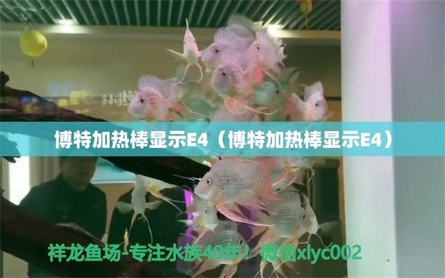 魚缸加熱棒顯示e4老是閃：魚缸加熱棒顯示e4故障解析 魚缸百科 第4張