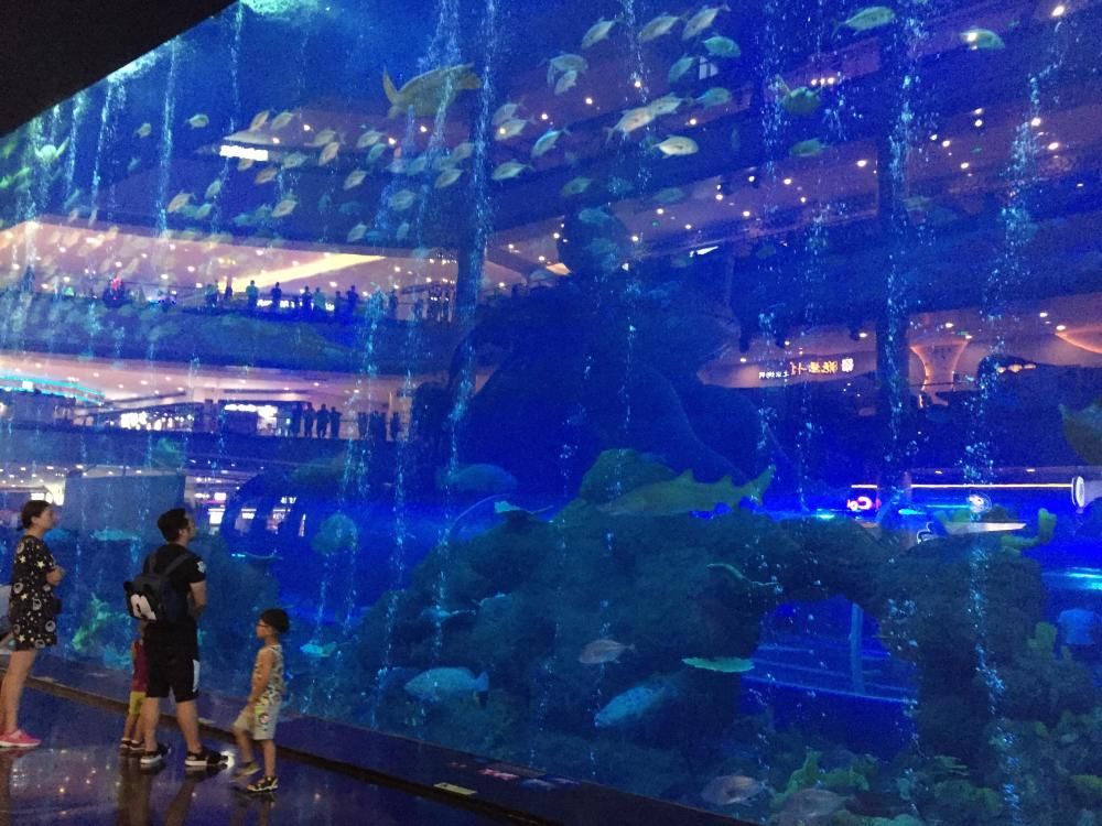 白山水族館：白山市渾江區(qū)聚龍閣水族館 全國(guó)觀賞魚市場(chǎng) 第1張