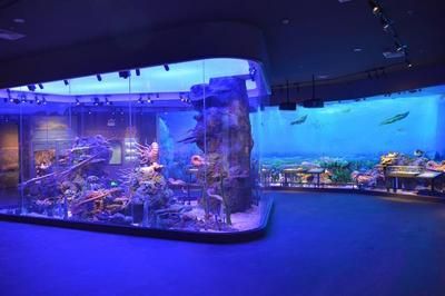 河源水族館：廣東省河源市水族館