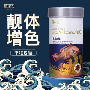 40公分的紅龍魚怎么喂食：關于紅龍魚的問題 水族問答