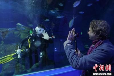 水族館利潤大嗎？：上海海洋水族館門票定價策略水族館門票定價策略 水族館百科（水族館加盟） 第4張