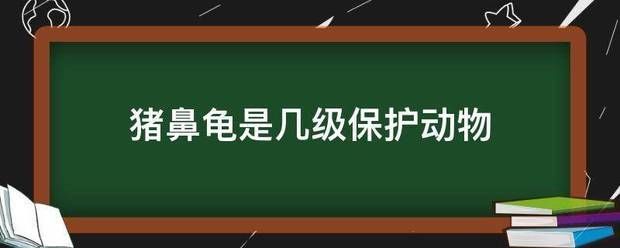 豬鼻龜從哪年列入二級(jí)保護(hù)動(dòng)物的：豬鼻龜是國(guó)家二級(jí)保護(hù)動(dòng)物嗎 豬鼻龜百科 第10張