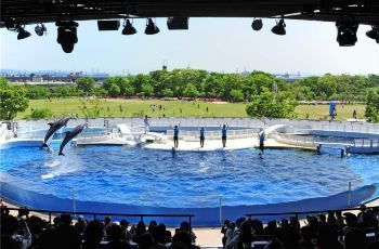 水族館官網(wǎng)購(gòu)票流程：上海海洋水族館官網(wǎng)購(gòu)票流程 水族館百科（水族館加盟） 第5張