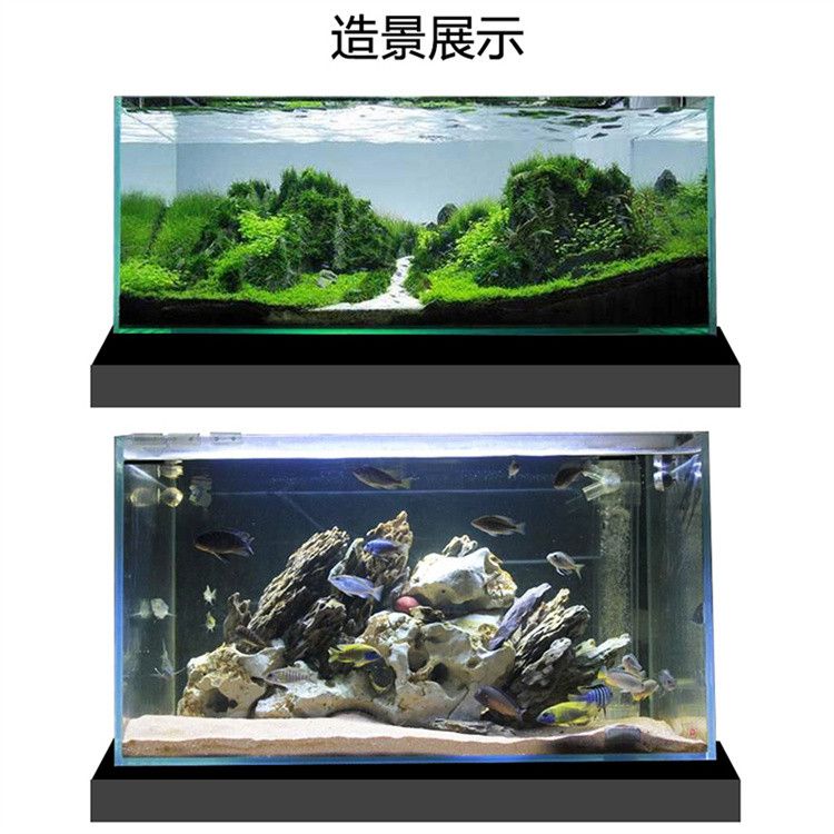 金晶魚缸質量好嗎：金晶魚缸與普通魚缸對比，金晶魚缸適用魚類推薦 魚缸百科 第4張