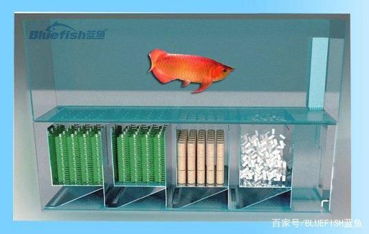 魚缸濾材使用方法圖解：魚缸濾材使用方法圖解如何正確使用魚缸過濾系統(tǒng) 魚缸百科 第5張