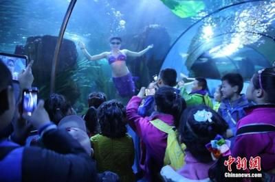 水族館有什么工作：動物醫(yī)生的疾病治療方法介紹水族館工作人員的疾病治療方法介紹