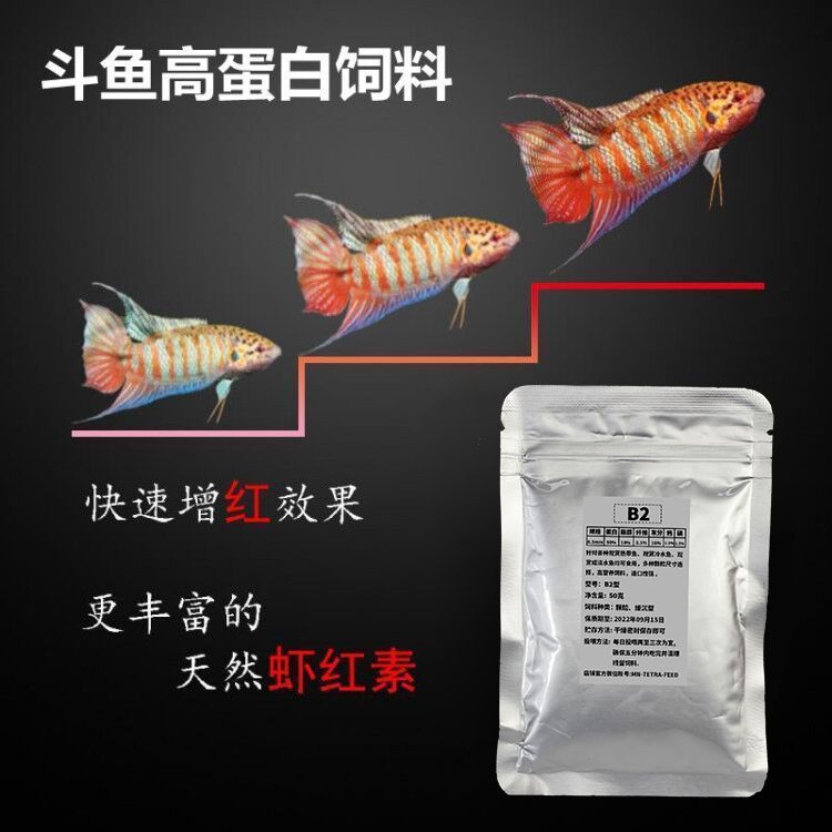 觀賞魚開口料營(yíng)養(yǎng)成分對(duì)比：觀賞魚開口料及其營(yíng)養(yǎng)成分對(duì)比 觀賞魚百科 第4張