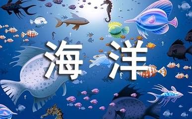 開個水族館的艱難經(jīng)歷怎么寫作文：開個水族館的艱難經(jīng)歷 水族館百科（水族館加盟） 第5張