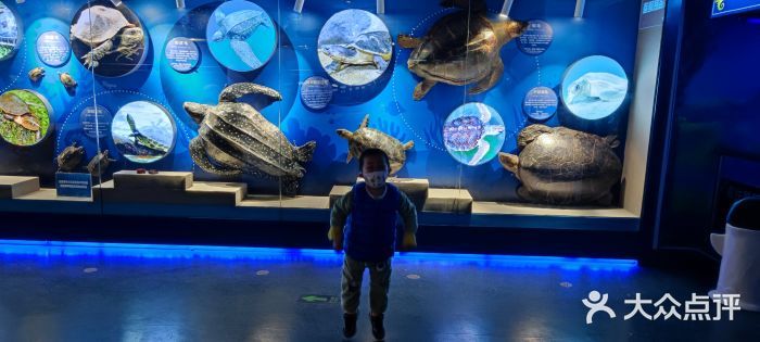 水族館開業(yè)廣告宣傳語：親子游水族館特色展覽介紹：親子游水族館優(yōu)惠票價(jià)信息 水族館百科（水族館加盟） 第1張