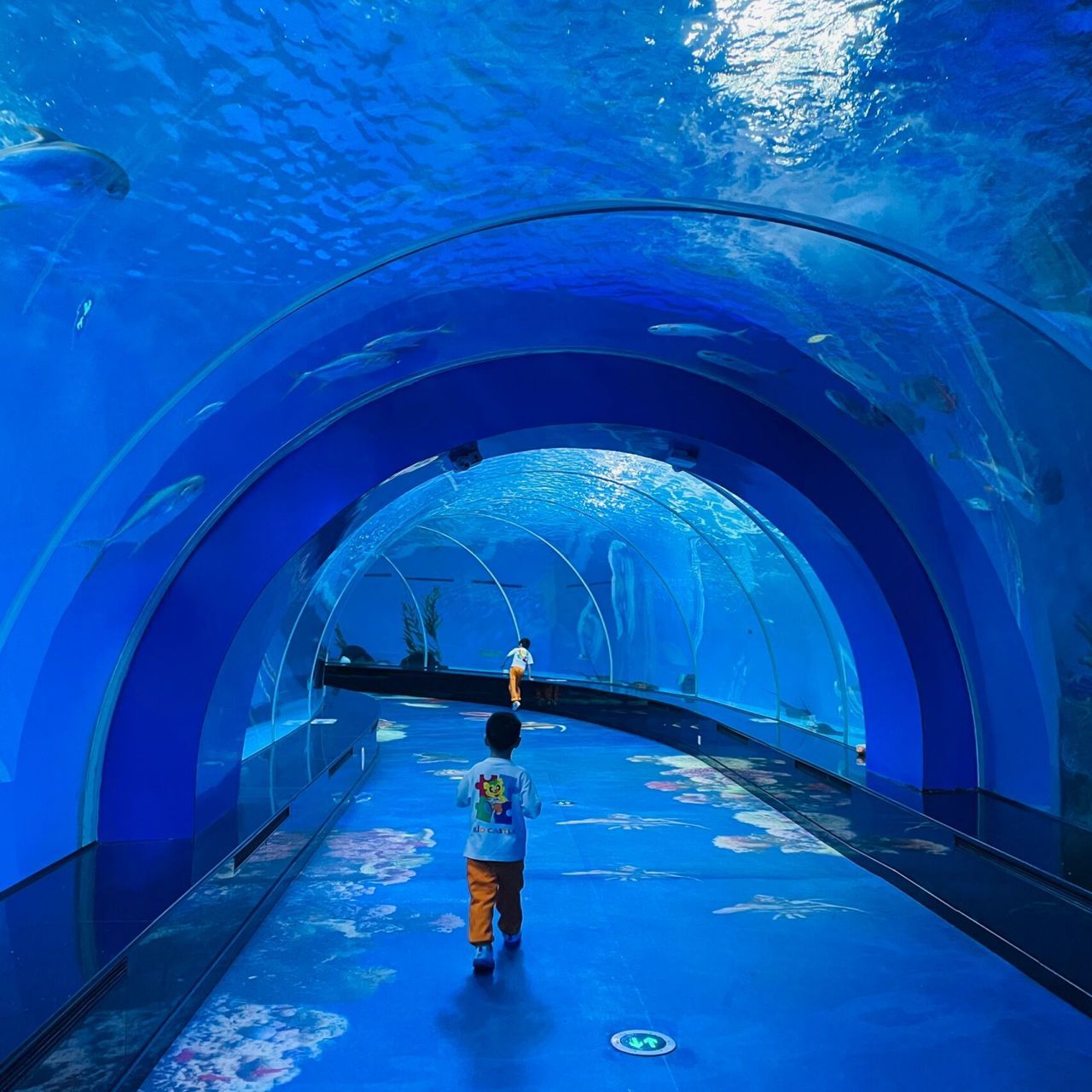 福州水族館：福州水族館海洋生物科普多功能大型生態(tài)館排行榜福州海洋館排行榜