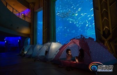 武威水族館：武威水族館武威水族館親子活動水族館親子活動攜程旅行 全國觀賞魚市場 第3張