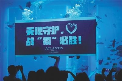 武威水族館：武威水族館武威水族館親子活動水族館親子活動攜程旅行 全國觀賞魚市場 第1張