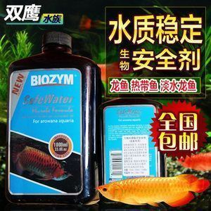 地圖魚可以和銀龍魚一起養(yǎng)嗎：地圖魚和銀龍魚可以一起養(yǎng)但需注意水質(zhì)要求和魚缸大小 水族問答