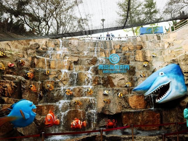 中國第一大水族館：上海海洋水族館 水族館百科（水族館加盟） 第5張