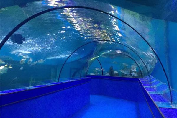 水族館一年能賺多少錢(qián)人民幣啊知乎：上海海洋水族館一年能賺多少錢(qián)人民幣的詳細(xì)分析 水族館百科（水族館加盟） 第1張