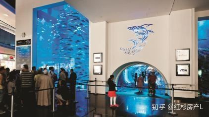 水族館一年能賺多少錢人民幣啊知乎：上海海洋水族館一年能賺多少錢人民幣的詳細分析 水族館百科（水族館加盟） 第3張