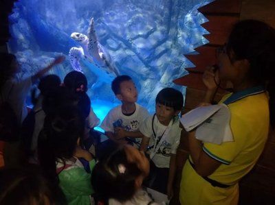 水族館的視頻：關(guān)于水族館視頻的網(wǎng)址 水族館百科（水族館加盟） 第4張