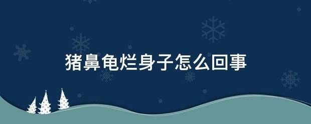 豬鼻龜為什么身上潰爛：豬鼻龜爛身子怎么回事 豬鼻龜百科 第10張