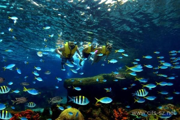 水族館店面擺設效果圖：水族館店面擺設設計