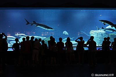 水族館誰(shuí)負(fù)責(zé)管理：水族館的管理責(zé)任通常由水母館或水族館管理委員會(huì)承擔(dān)