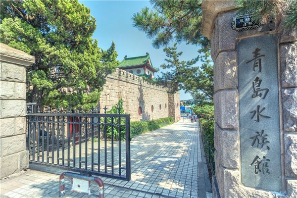 水族館游玩攻略：上海水族館親子互動項(xiàng)目介紹 水族館百科（水族館加盟） 第1張